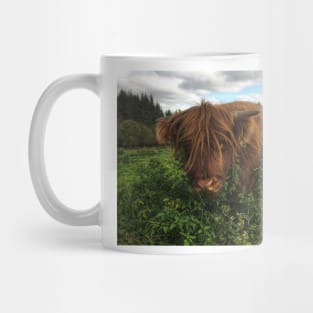 Scottish Highland Cattle Calf 2109 Mug